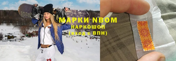 шишки Бронницы